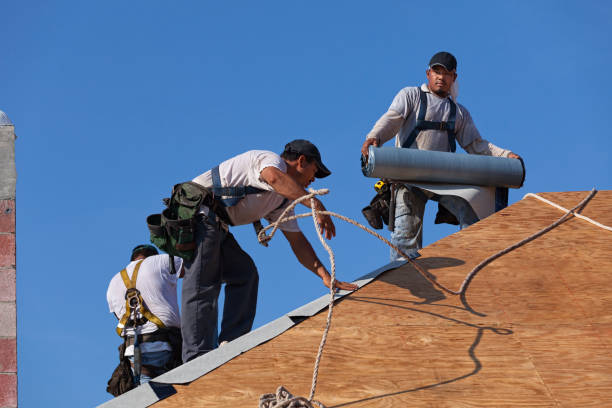 Roof Gutter Cleaning in Trenton, OH